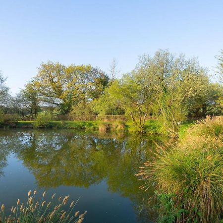 Grampound Our Goldfinch 1- Sleeps 2 Persons- Private Hot Tub-Pet Friendly-Tranquil Holiday Away From It All Yet Not Far From St Austell- The Holiday Home Has One Bedroom, Living And Dining Area, Equipped Kitchen-Decking-Outdoor Furniture-Fishing Lakes And More المظهر الخارجي الصورة